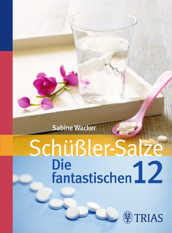 Cover-Bild Schüßler-Salze: Die fantastischen 12
