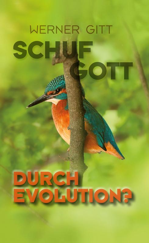 Cover-Bild Schuf Gott durch Evolution?