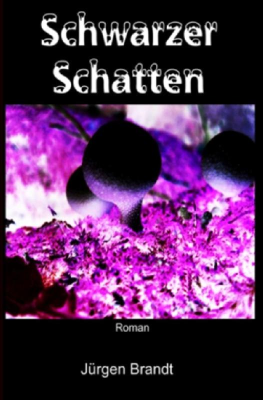 Cover-Bild Schwarzer Schatte / Schwarze Flut