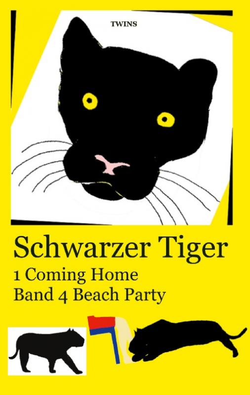 Cover-Bild Schwarzer Tiger 1 Coming Home