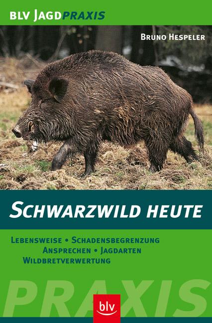 Cover-Bild Schwarzwild heute