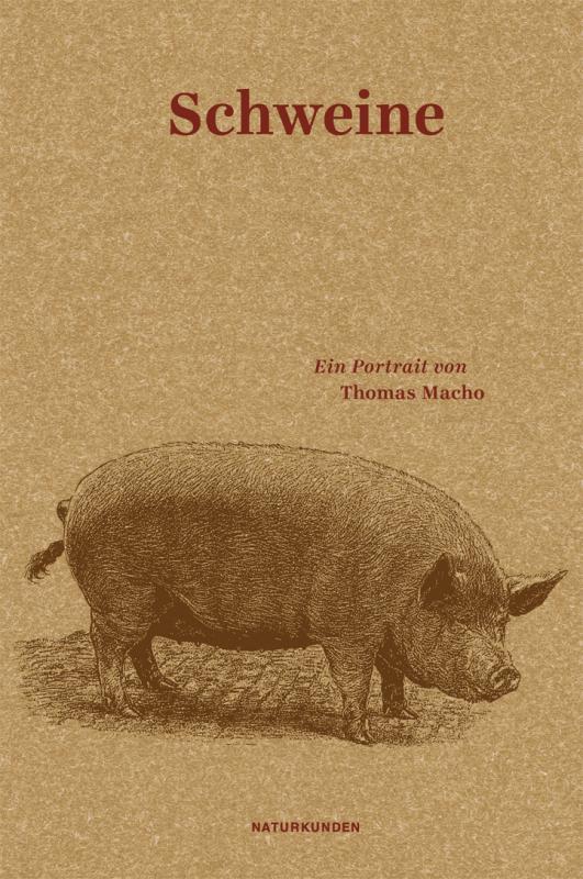 Cover-Bild Schweine