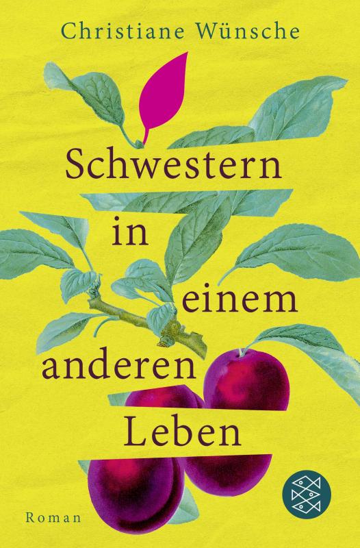 Cover-Bild Schwestern in einem anderen Leben