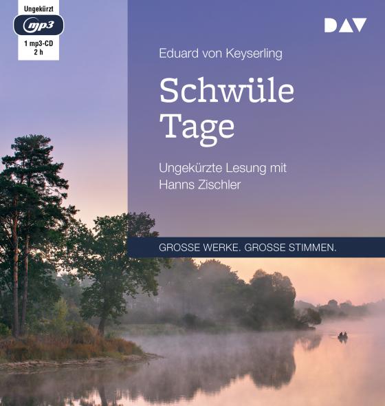 Cover-Bild Schwüle Tage