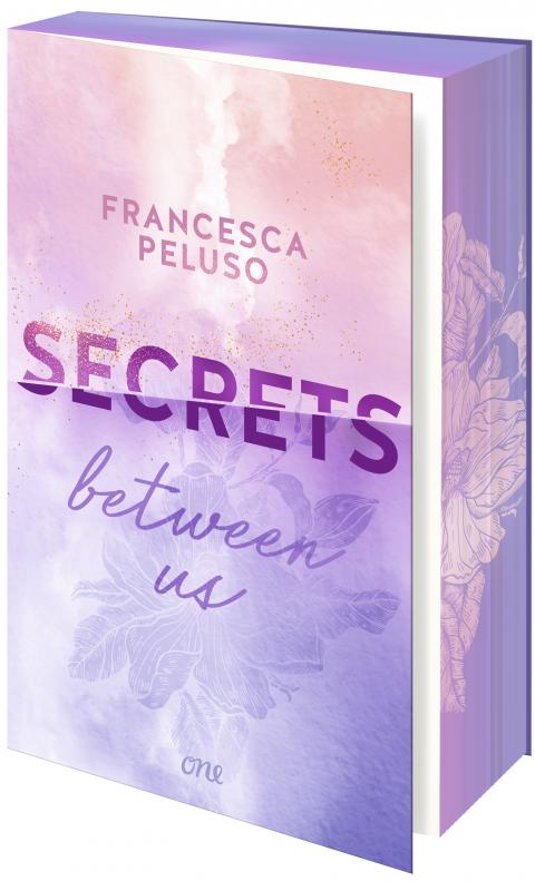 Cover-Bild Secrets between us