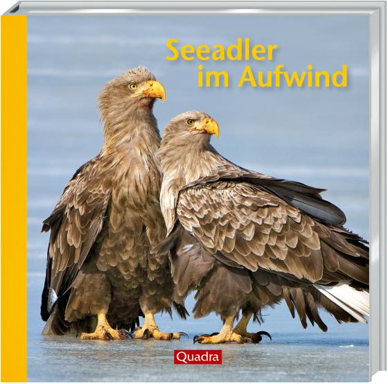 Cover-Bild Seeadler im Aufwind