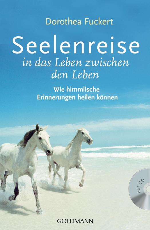 Cover-Bild Seelenreise in das Leben zwischen den Leben