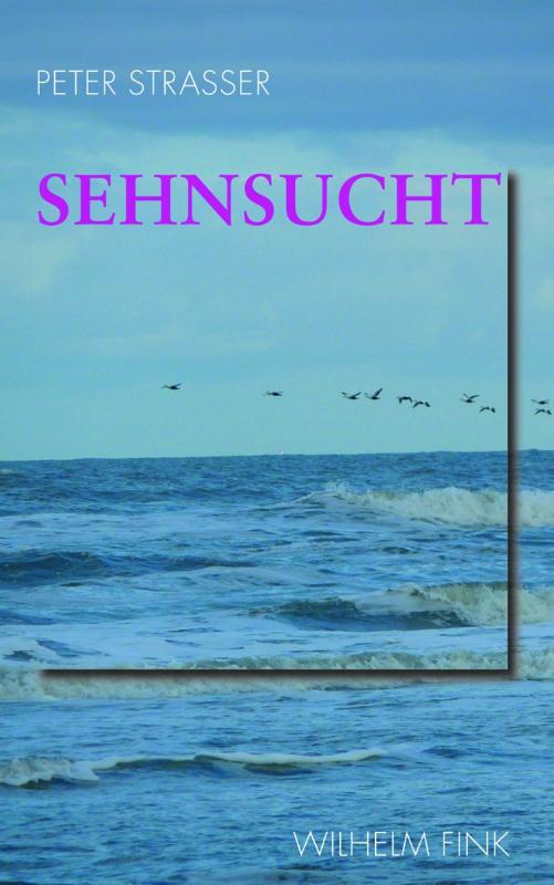 Cover-Bild Sehnsucht