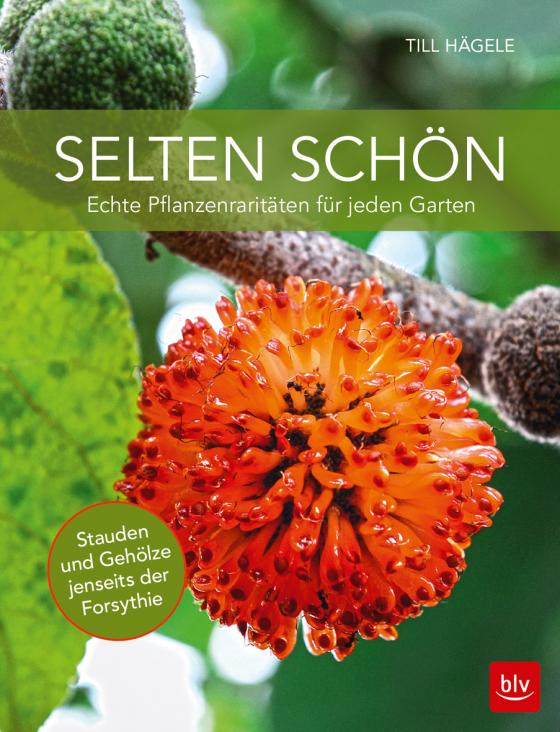 Cover-Bild Selten schön