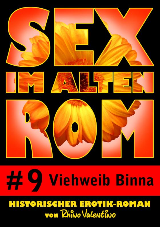 Cover-Bild Sex im alten Rom 9 - Viehweib Binna