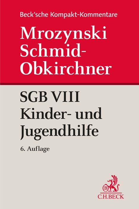 Cover-Bild SGB VIII Kinder- und Jugendhilfe