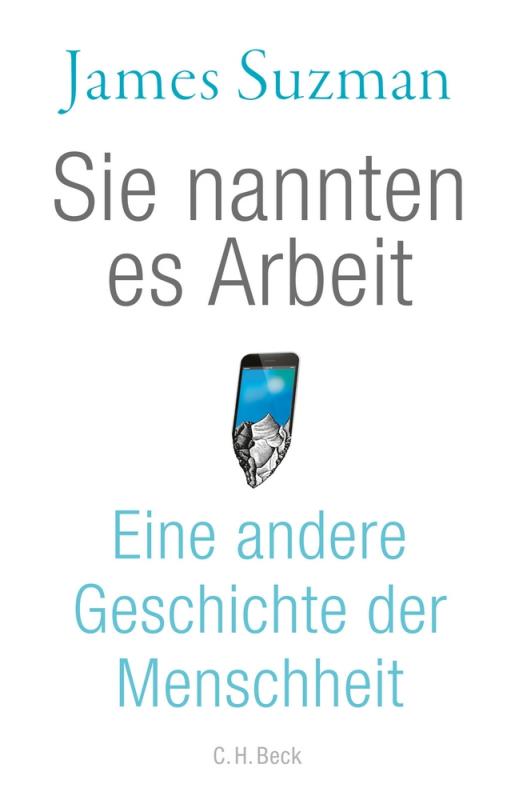 Cover-Bild Sie nannten es Arbeit