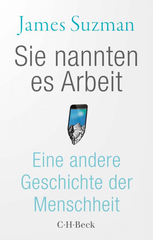 Cover-Bild Sie nannten es Arbeit