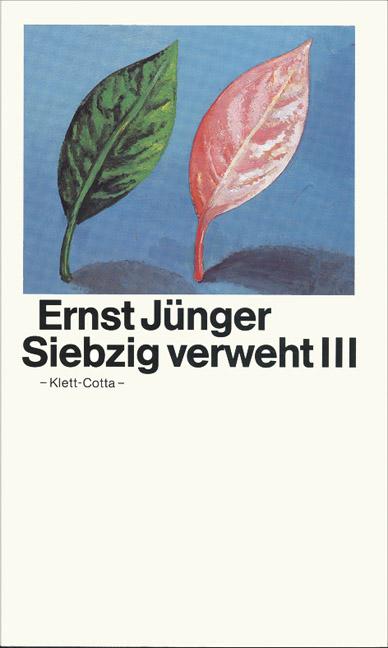 Cover-Bild Siebzig verweht III