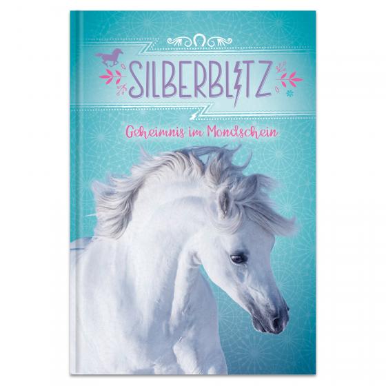 Cover-Bild Silberblitz - Geheimnis im Mondschein