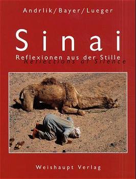 Cover-Bild Sinai