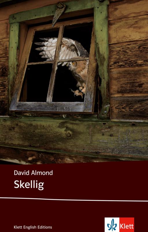 Cover-Bild Skellig