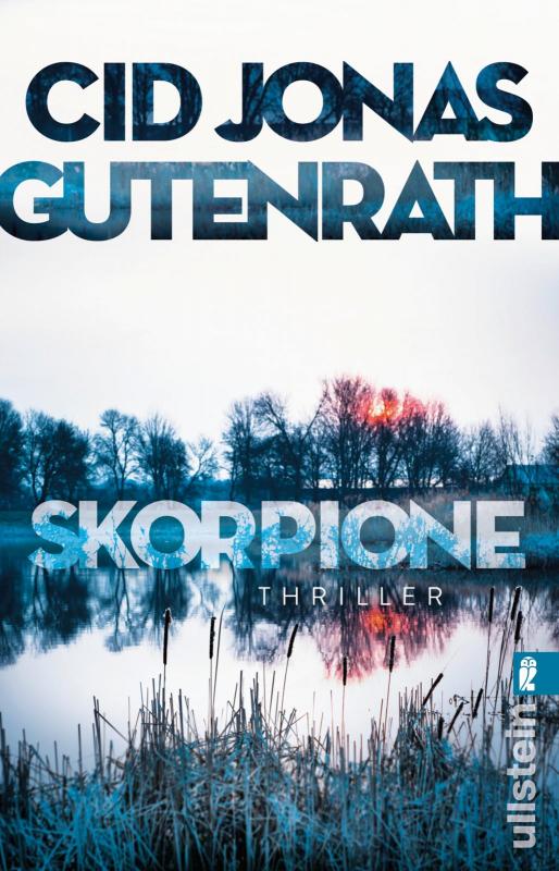 Cover-Bild Skorpione (Sascha Simoneit-Serie 1)