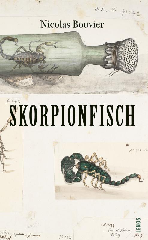 Cover-Bild Skorpionfisch