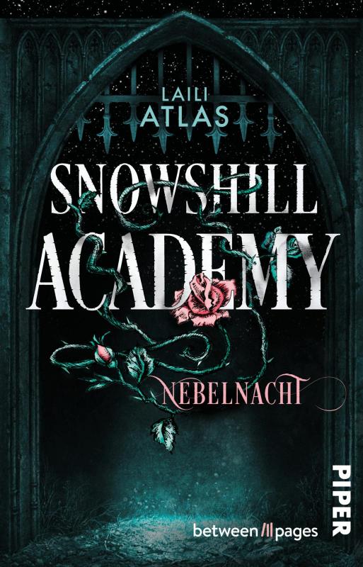 Cover-Bild Snowshill Academy – Nebelnacht