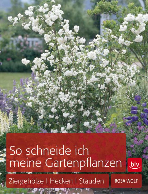 Cover-Bild So schneide ich meine Gartenpflanzen