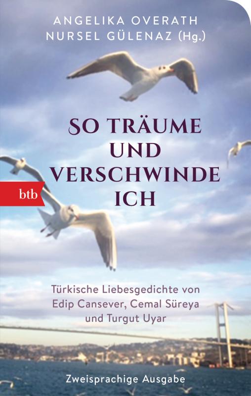 Cover-Bild „So träume und verschwinde ich“