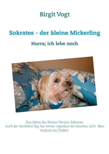 Cover-Bild Sokrates - der kleine Mickerling