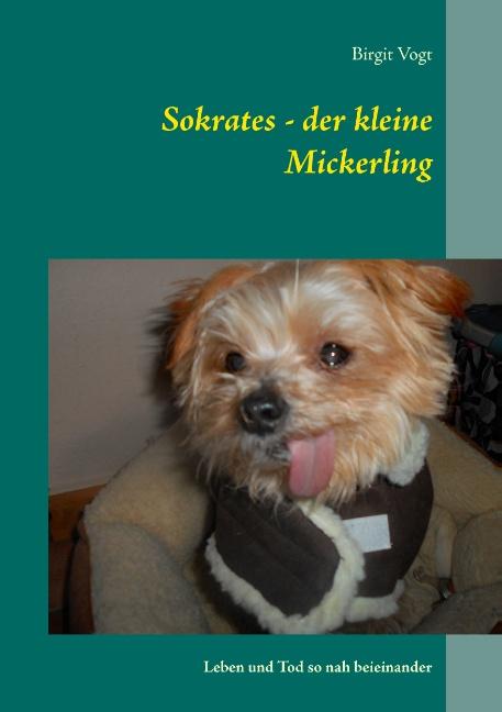 Cover-Bild Sokrates - der kleine Mickerling