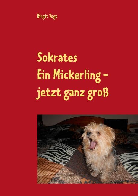Cover-Bild Sokrates Ein Mickerling - jetzt ganz groß