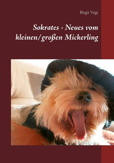 Cover-Bild Sokrates - Neues vom kleinen/großen Mickerling
