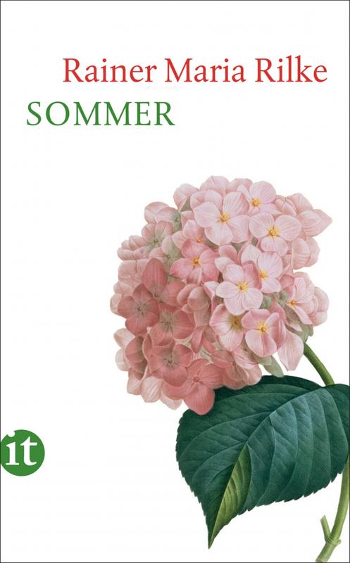 Cover-Bild Sommer