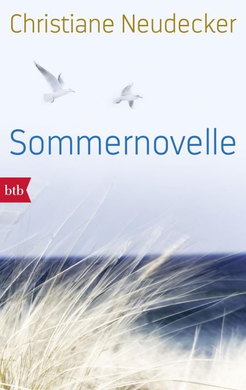 Cover-Bild Sommernovelle