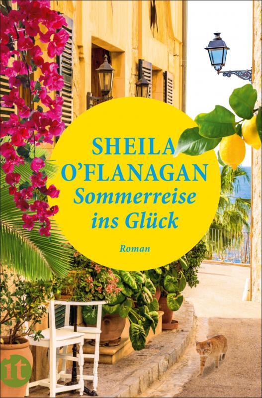 Cover-Bild Sommerreise ins Glück