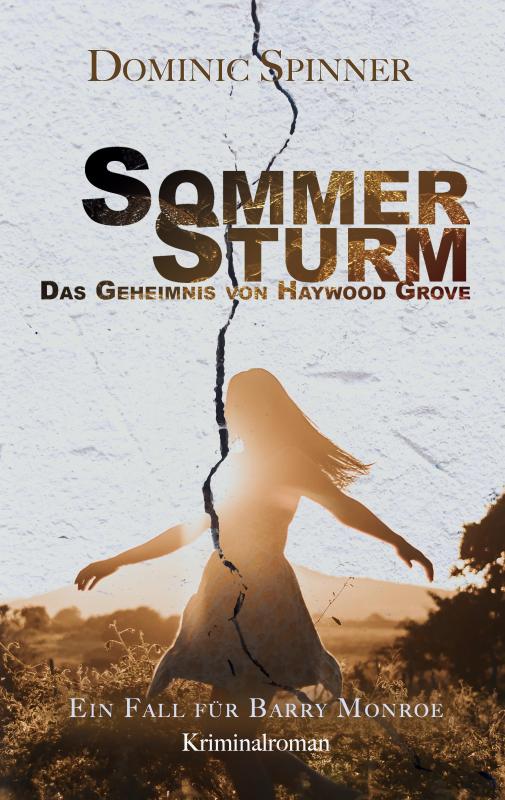 Cover-Bild Sommersturm - Das Geheimnis von Haywood Grove: Der zweite Fall für Barry Monroe