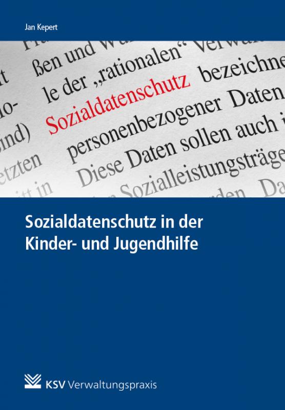 Cover-Bild Sozialdatenschutz in der Kinder- und Jugendhilfe