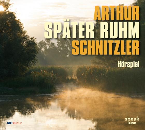 Cover-Bild Später Ruhm