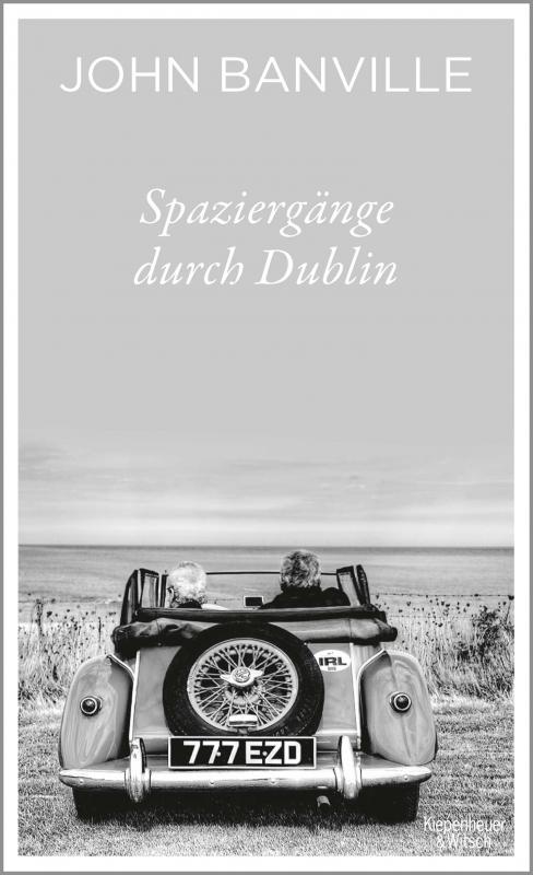 Cover-Bild Spaziergänge durch Dublin