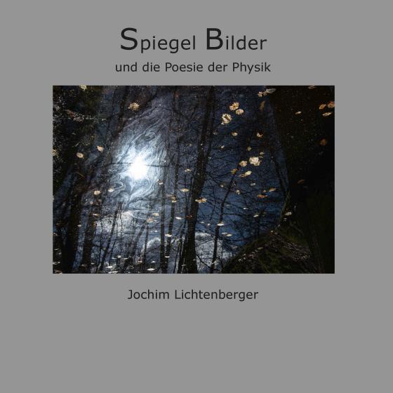 Cover-Bild Spiegelbilder und die Poesie der Physik