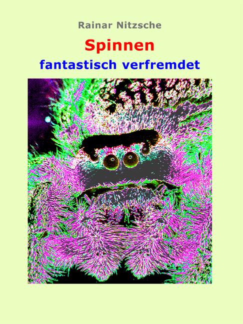 Cover-Bild Spinnen fantastisch verfremdet