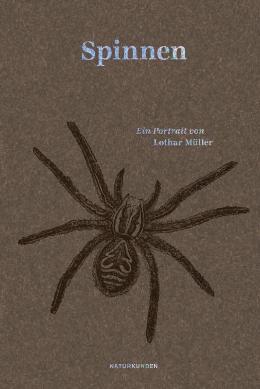 Cover-Bild Spinnen