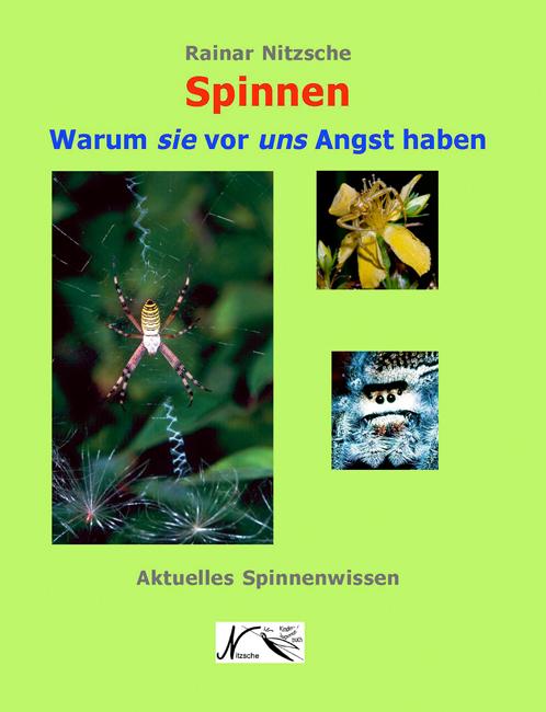 Cover-Bild Spinnen