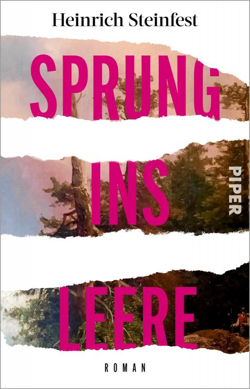 Cover-Bild Sprung ins Leere