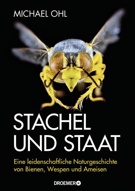 Cover-Bild Stachel und Staat