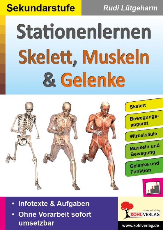 Cover-Bild Stationenlernen Skelette, Muskeln und Gelenke