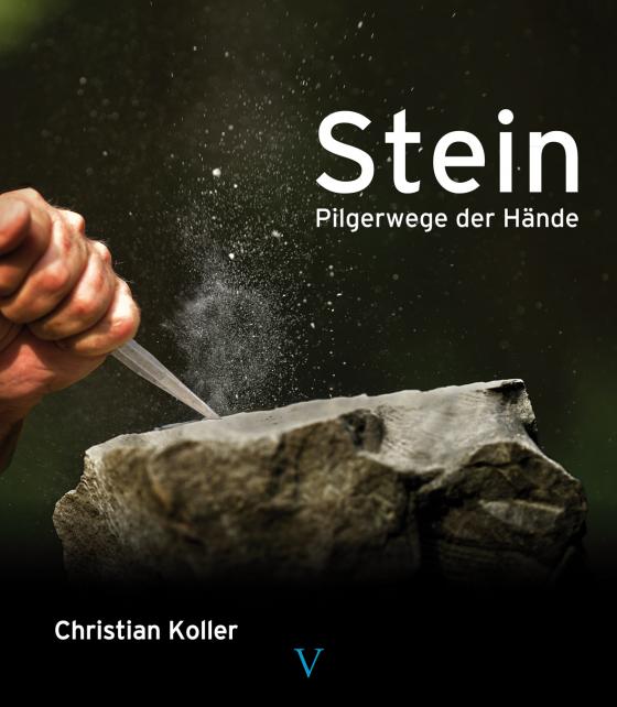 Cover-Bild Stein