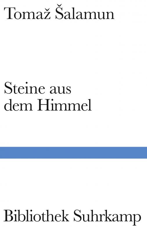 Cover-Bild Steine aus dem Himmel