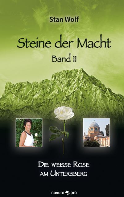 Cover-Bild Steine der Macht – Band 11