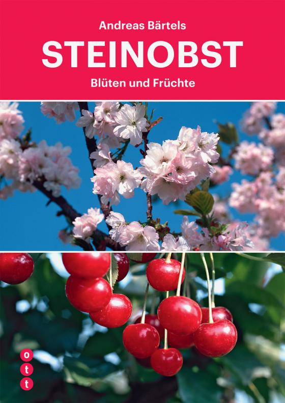 Cover-Bild Steinobst