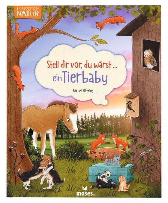 Cover-Bild Stell dir vor, du wärst...ein Tierbaby