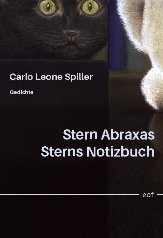 Cover-Bild Stern Abraxas Sterns Notizbuch